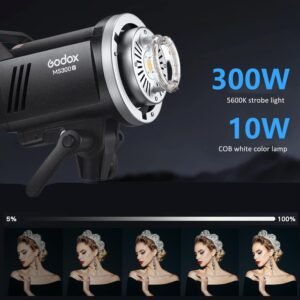 Godox Juego de 2 luces estroboscópicas MS300V 600W para estudio